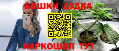 СК Краснознаменск