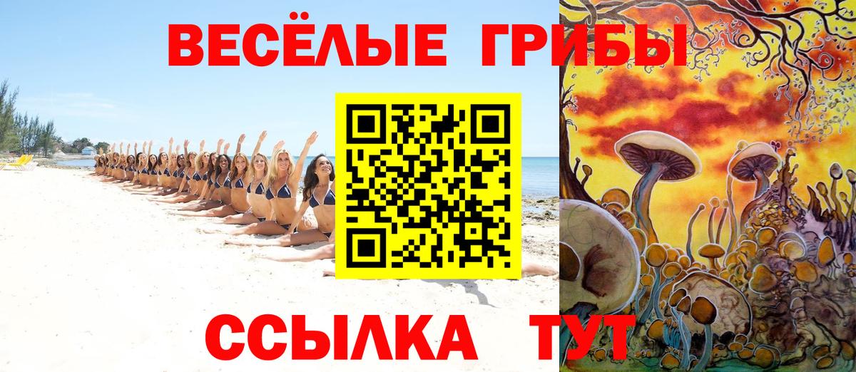 Псилоцибиновые грибы MAGIC MUSHROOMS  наркота  Йошкар-Ола  Вход с VPN 
