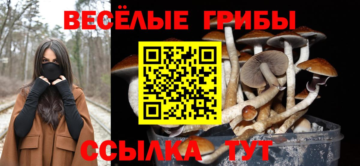 Псилоцибиновые грибы MAGIC MUSHROOMS Йошкар-Ола